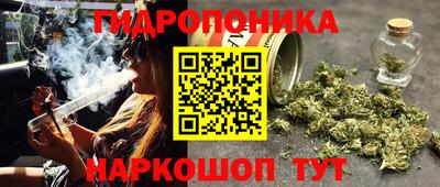 сатива Кумертау