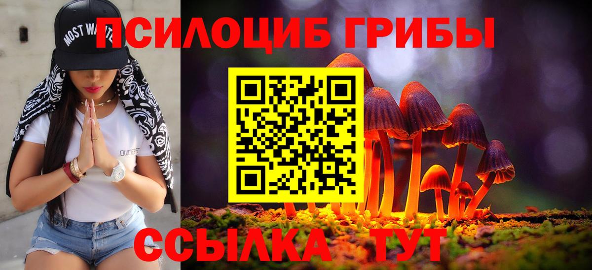 Томск  Галлюциногенные грибы ЛСД  сколько стоит  Вход с VPN 